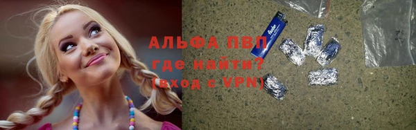 ПСИЛОЦИБИНОВЫЕ ГРИБЫ Медвежьегорск