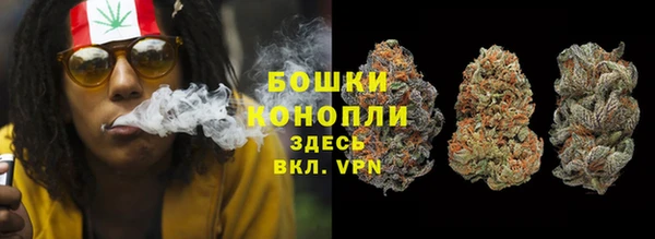 ПСИЛОЦИБИНОВЫЕ ГРИБЫ Медвежьегорск