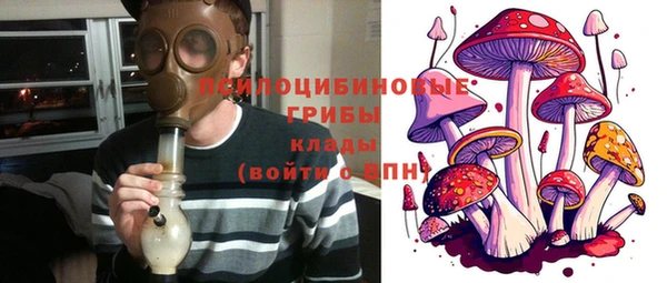 прущие крисы Мегион