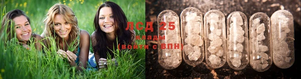 ПСИЛОЦИБИНОВЫЕ ГРИБЫ Медвежьегорск
